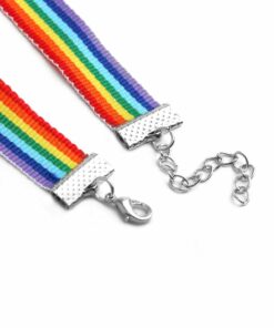 Rainbow Ribbon Choker Details