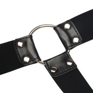 Chest Harness with Adjustable Straps 2