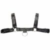 Chest Harness with Adjustable Straps